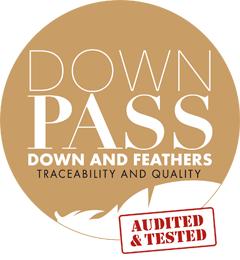 downpass logo